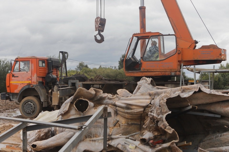 Команда «Стройся!» Команда «Стройся!»