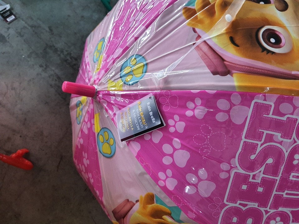 Более 4,5 тысяч контрафактных зонтов из Белоруссии изъяли псковские таможенники 