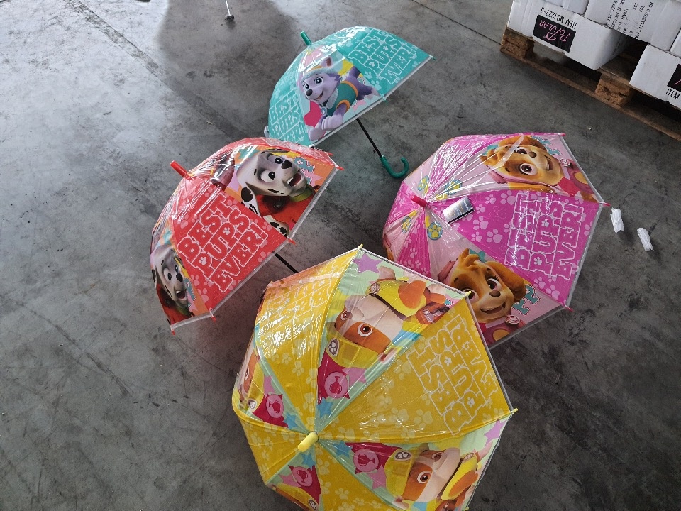 Более 4,5 тысяч контрафактных зонтов из Белоруссии изъяли псковские таможенники 