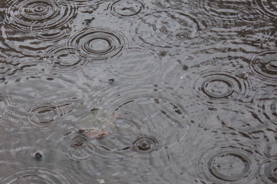 Кратковременные дожди и грозы прогнозируют в Псковской области 27 августа Кратковременные дожди и грозы прогнозируют в Псковской области 27 августа