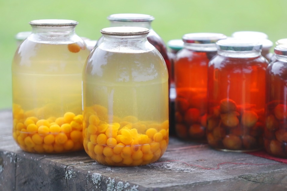 Семейная встреча Семейная встреча