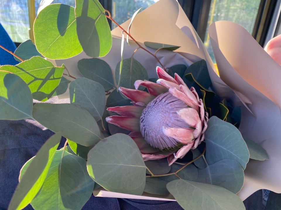 Псковские флористы рассказали, во сколько обойдётся букет учителю на 1 сентября Псковские флористы рассказали, во сколько обойдётся букет учителю на 1 сентября