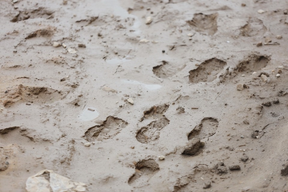 И вновь продолжается бой?.. И вновь продолжается бой?..