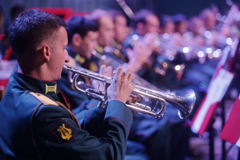 Военно-музыкальные силы