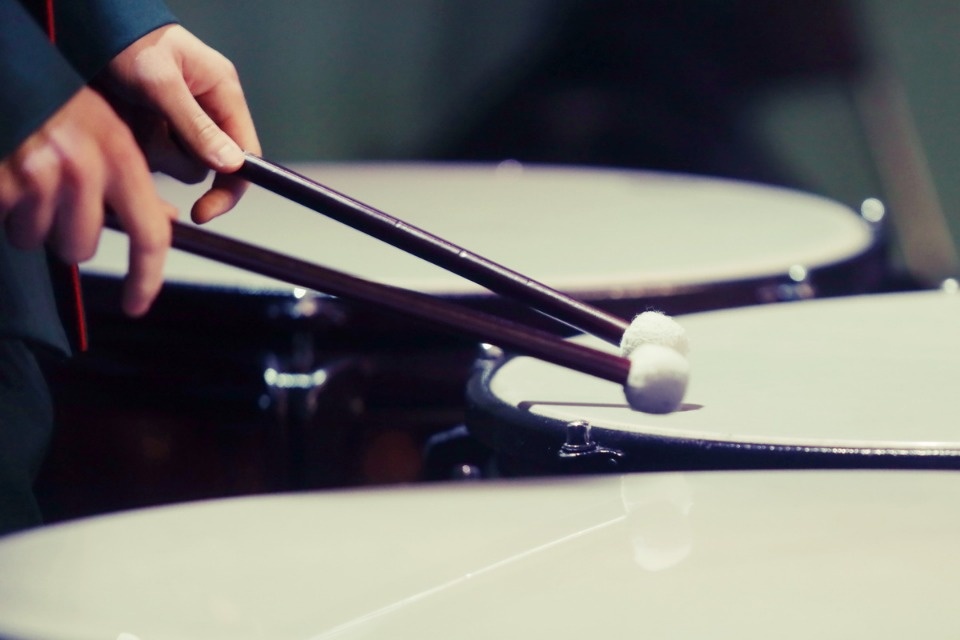 Военно-музыкальные силы