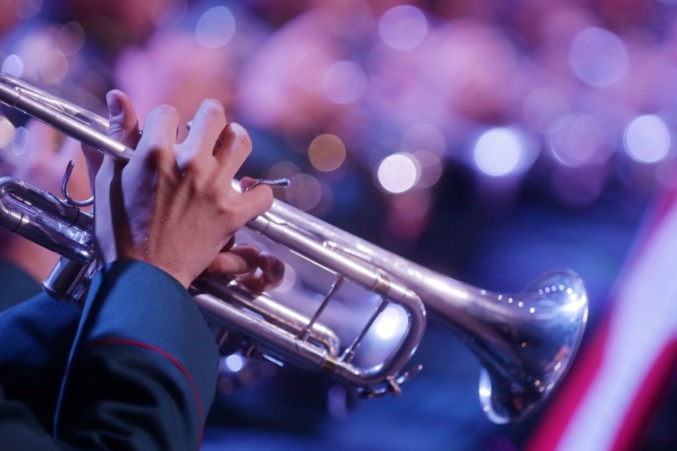 Военно-музыкальные силы