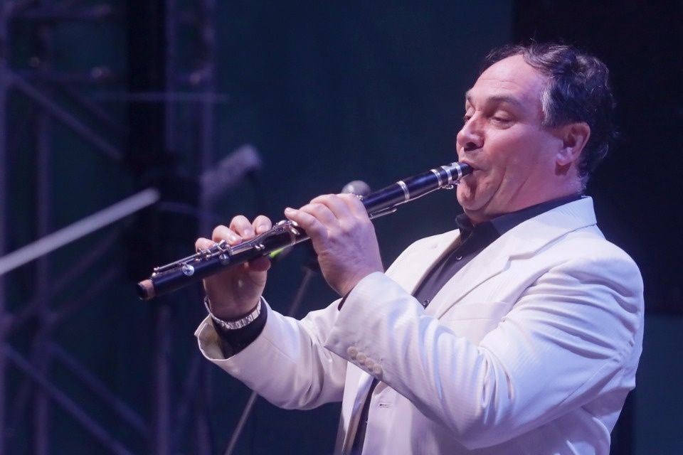 Военно-музыкальные силы