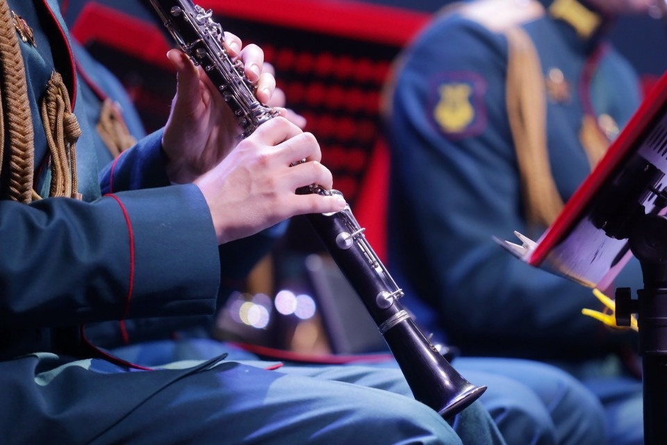 Военно-музыкальные силы