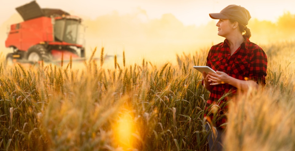 Прогноз урожая и покупка сельхозживотных в цифровом формате: «Сколково» подвело итоги акселератора Россельхозбанка