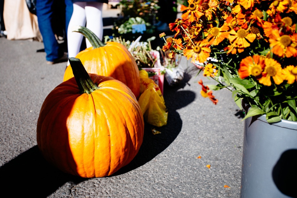 Ярмарку «Осень 2021» отменили из-за ухудшения эпидобстановки