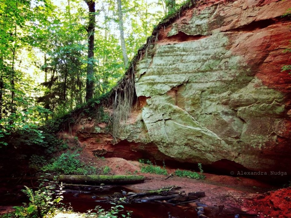 Псковичам рассказали о туристическом потенциале Гдовского района