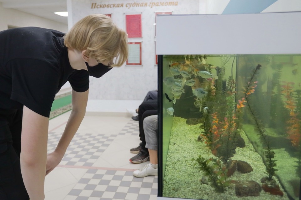 Экскурсия в прокуратуру