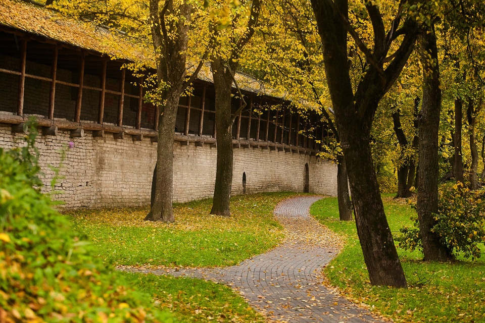 До +16 градусов тепла ожидается в Псковской области 6 октября