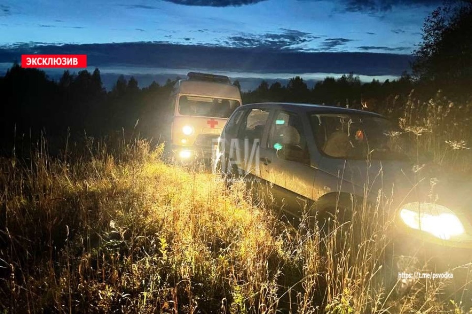 Мужчина погиб во время охоты в Псковской области