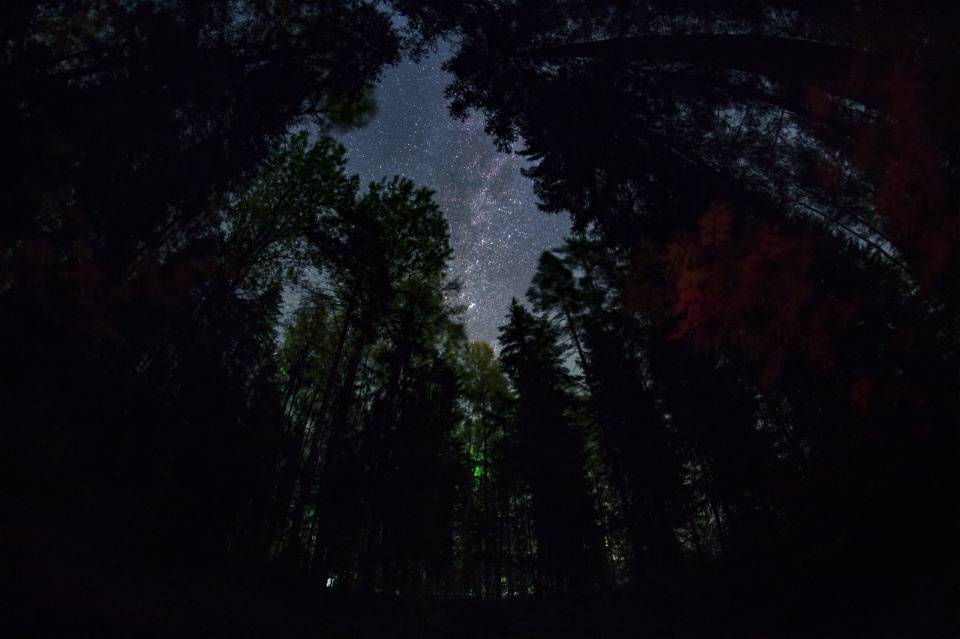 Над деревней Черняковицы в Псковском районе запечатлели Млечный Путь