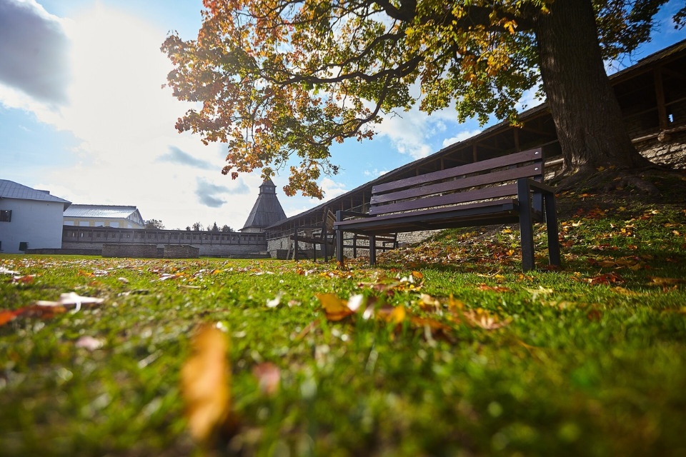 До +14 градусов потеплеет в Псковской области 11 октября 