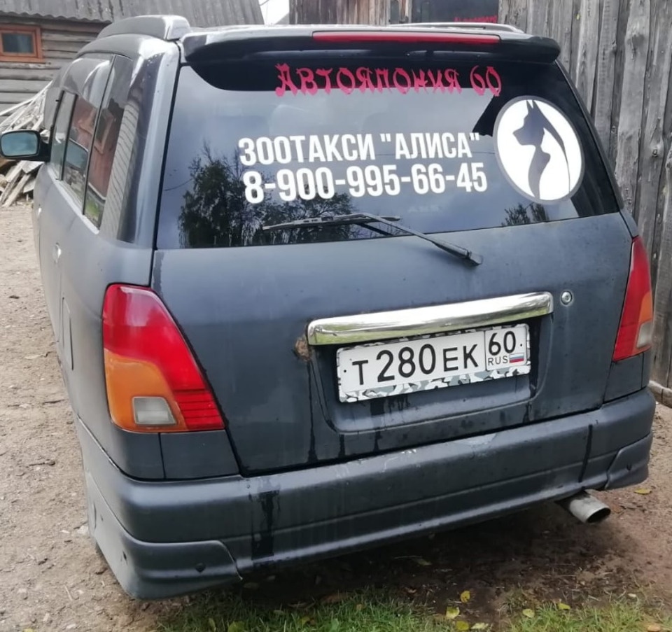 Зоотакси начнет работать в Пскове с 14 октября 