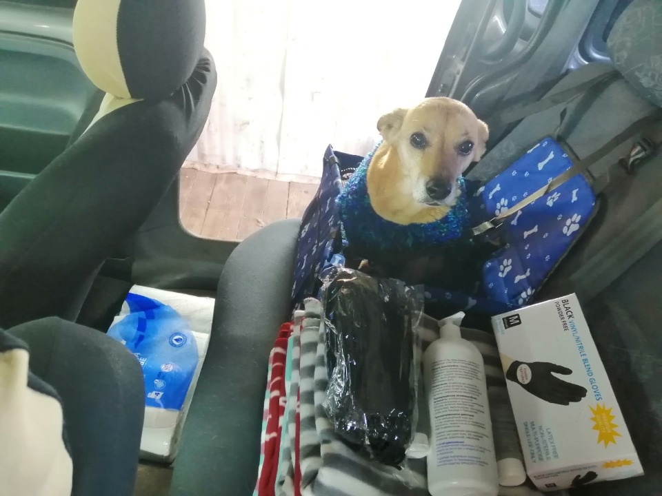 Машина для Шарика