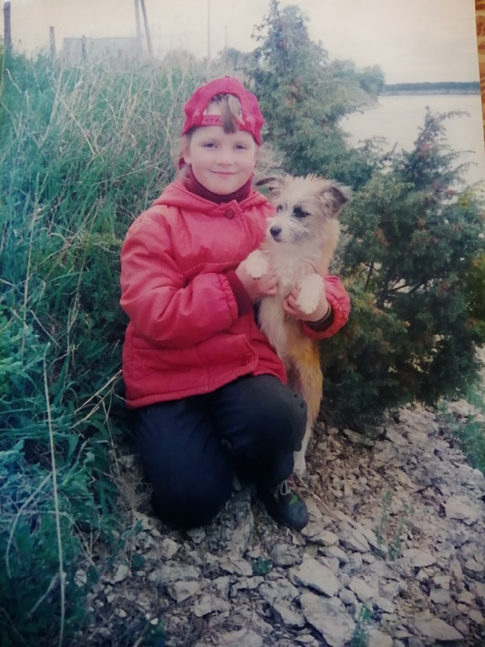 Машина для Шарика