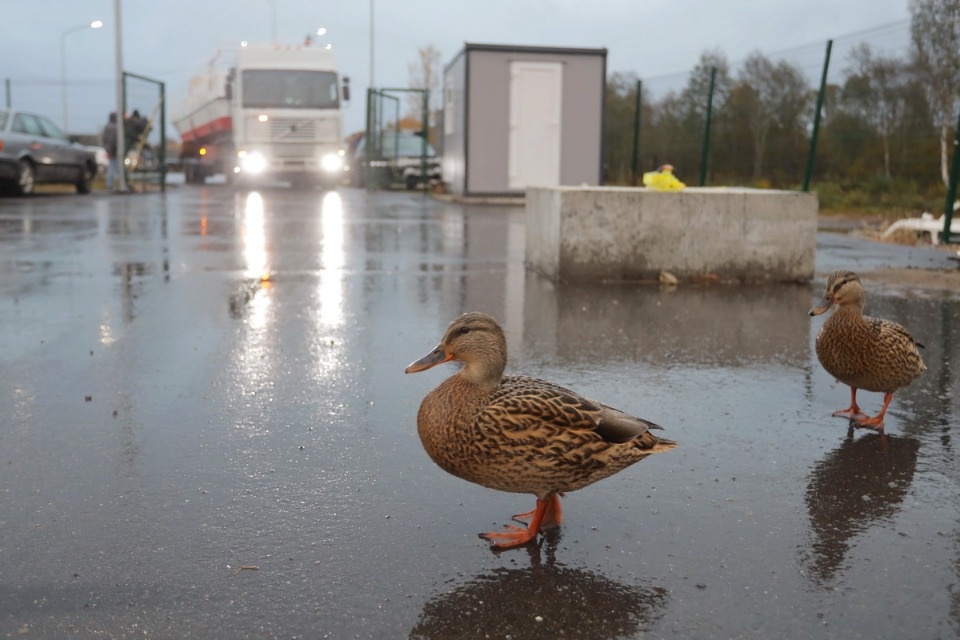 Курс на Талабы Курс на Талабы