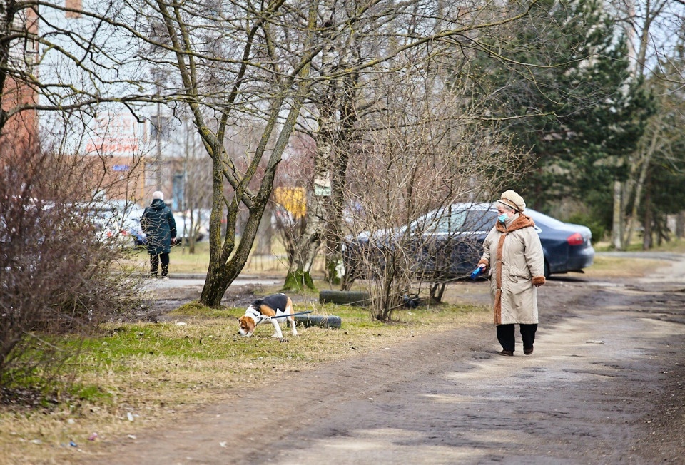 Еще 243 человека заразились коронавирусом в Псковской области Еще 243 человека заразились коронавирусом в Псковской области