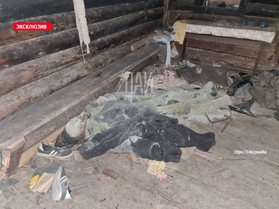 Мумифицированное тело мужчины обнаружено в Псковской области