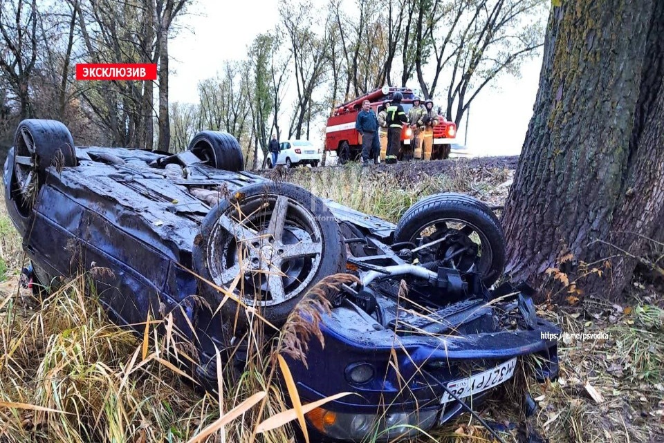 Больше 1,8 тыс. административных правонарушений пресекли сотрудники ГИБДД за прошедшею неделю