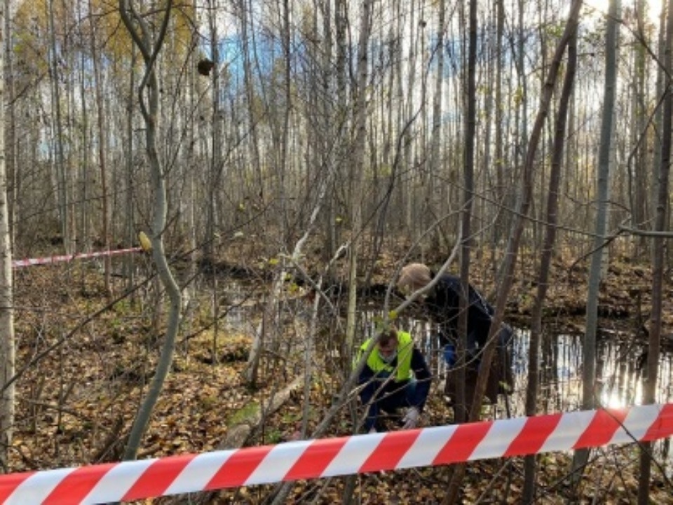 По факту смерти новорожденного ребенка в Пскове возбуждено уголовное дело По факту смерти новорожденного ребенка в Пскове возбуждено уголовное дело