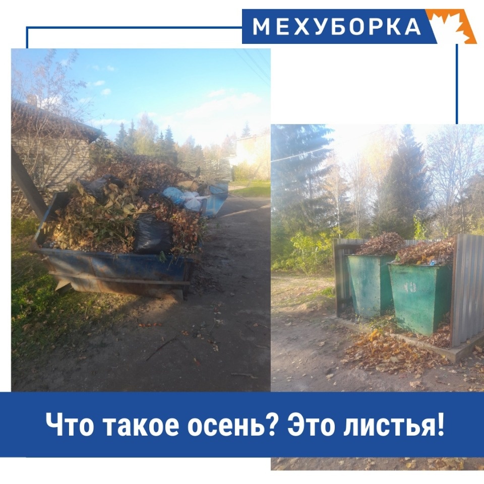 Что делать с листьями после уборки, рассказал региональный оператор по обращению с ТКО