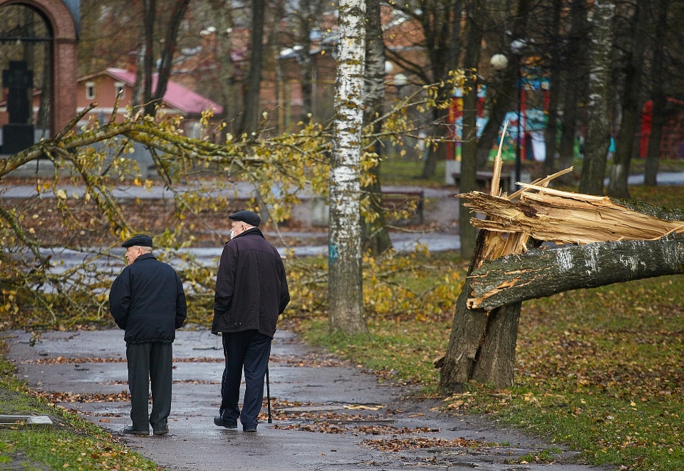 Усиление ветра ожидается в Псковской области 22 октября