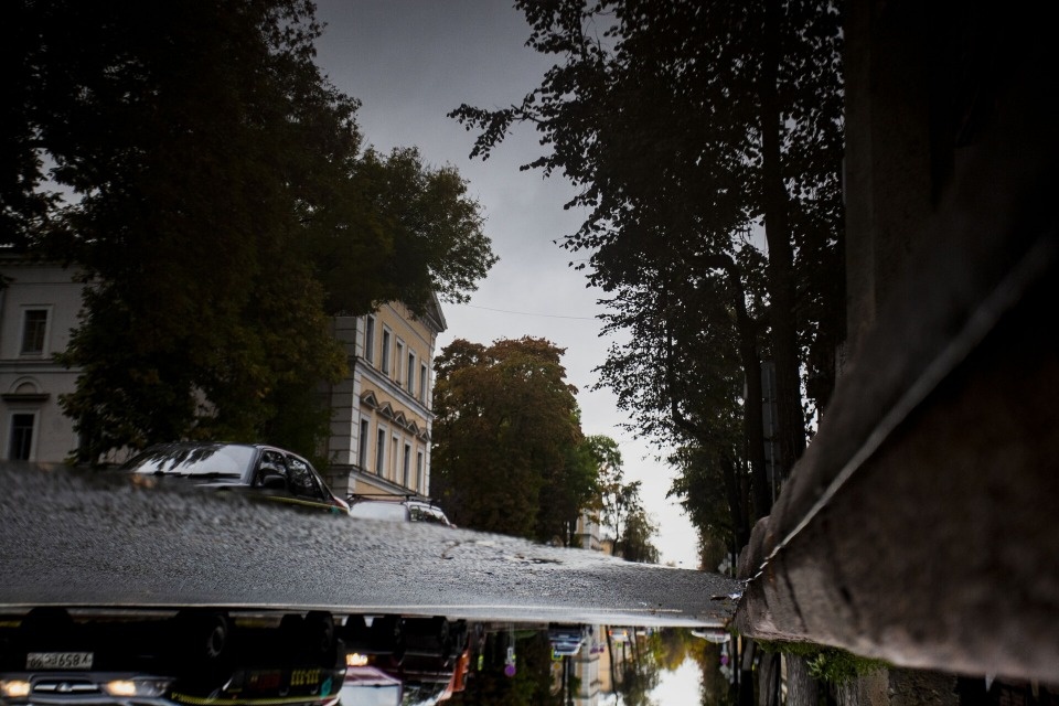 Осадки и до +8 градусов прогнозируются в Псковской области 23 октября