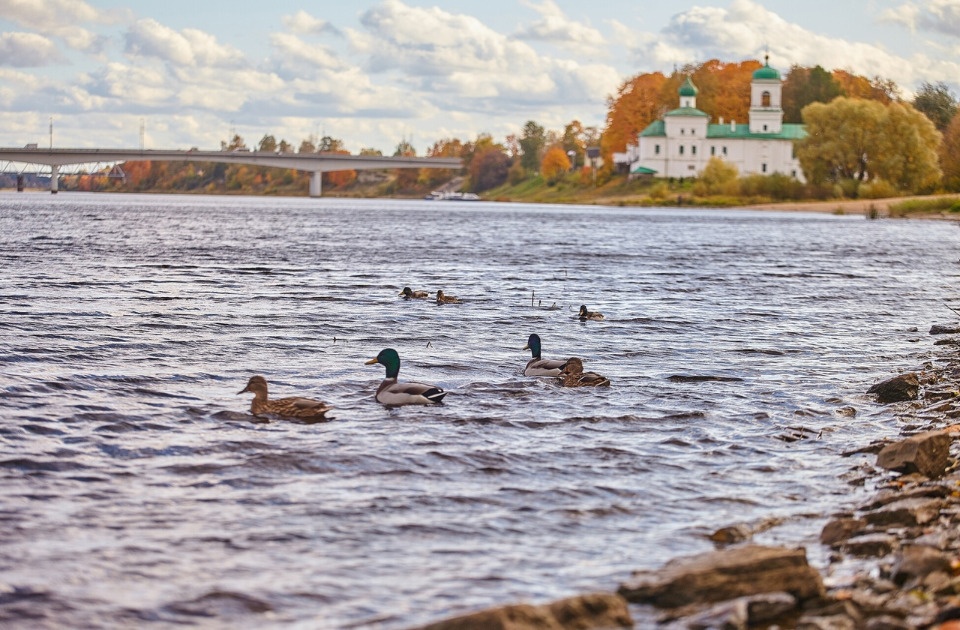 До 10 градусов тепла прогреется воздух в Псковской области 25 октября До 10 градусов тепла прогреется воздух в Псковской области 25 октября