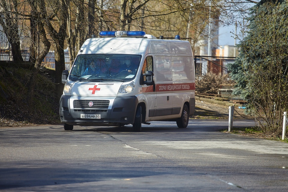 Распространение дельта-штамма коронавируса преобладает в Псковской области