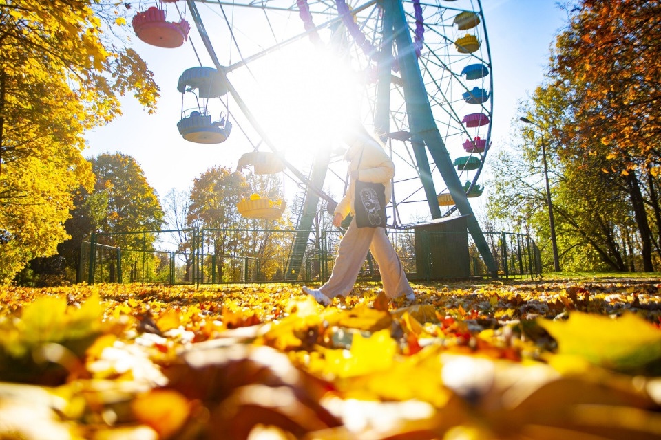 До 9 градусов тепла ожидается в Псковской области 26 октября
