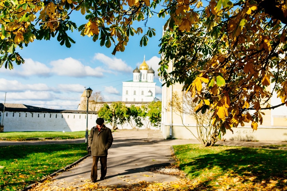 До 15 градусов тепла ожидается в Псковской области 30 октября