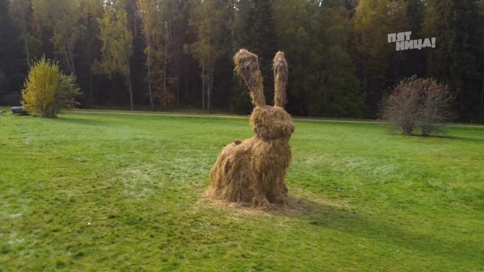 Вышел выпуск «Орла и Решки» про Псковскую область