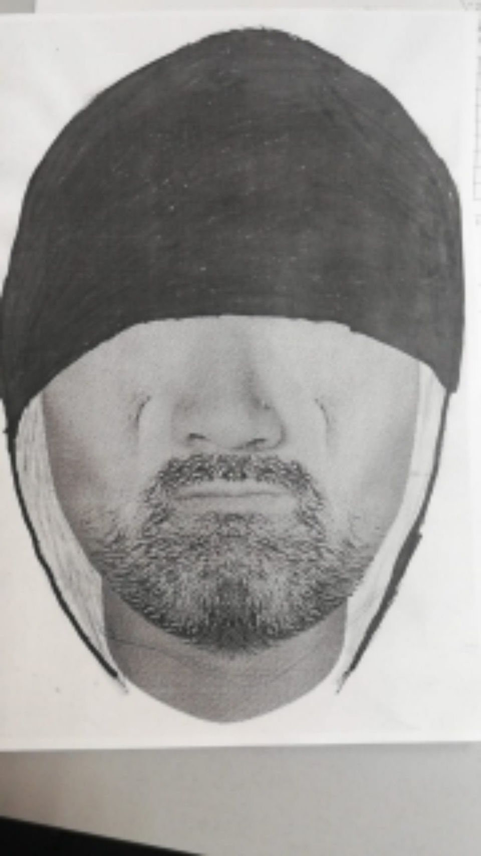 Личность напавшего на ребенка грабителя устанавливается в Пскове 