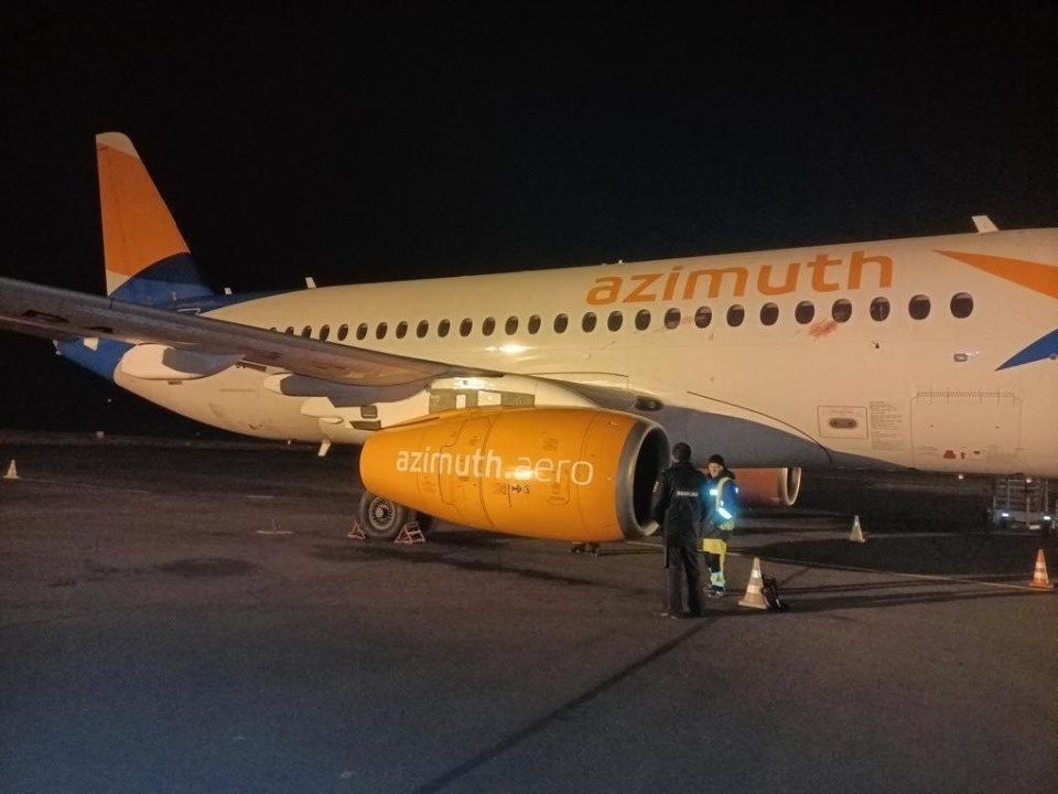 Дикое животное стало причиной инцидента на аэродроме в Пскове