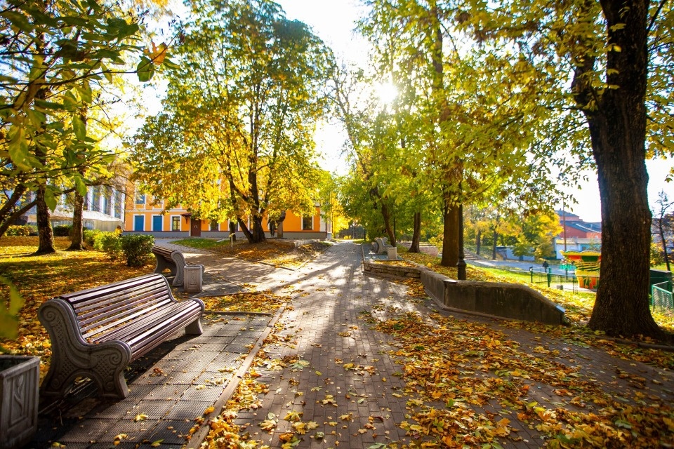 До 9 градусов тепла прогреется воздух в Псковской области 2 ноября До 9 градусов тепла прогреется воздух в Псковской области 2 ноября