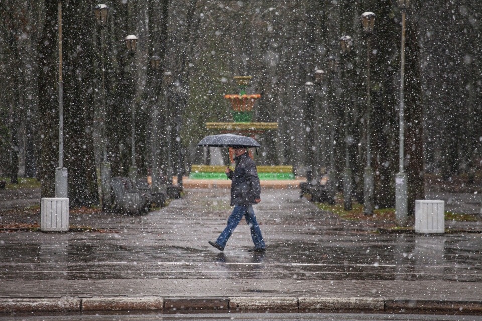 До +4 градусов и осадки ожидаются в Псковской области 9 ноября До +4 градусов и осадки ожидаются в Псковской области 9 ноября