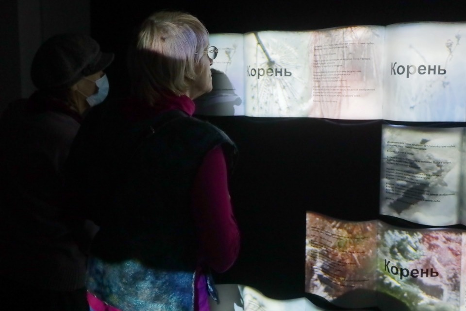 Зри в «Корень»