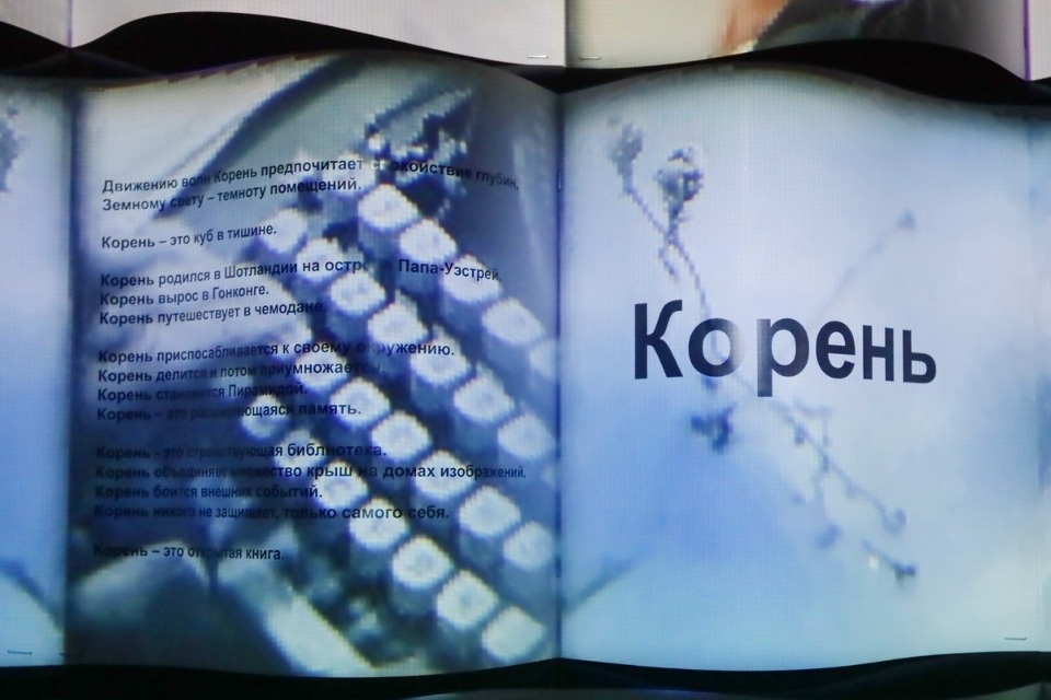 Зри в «Корень»