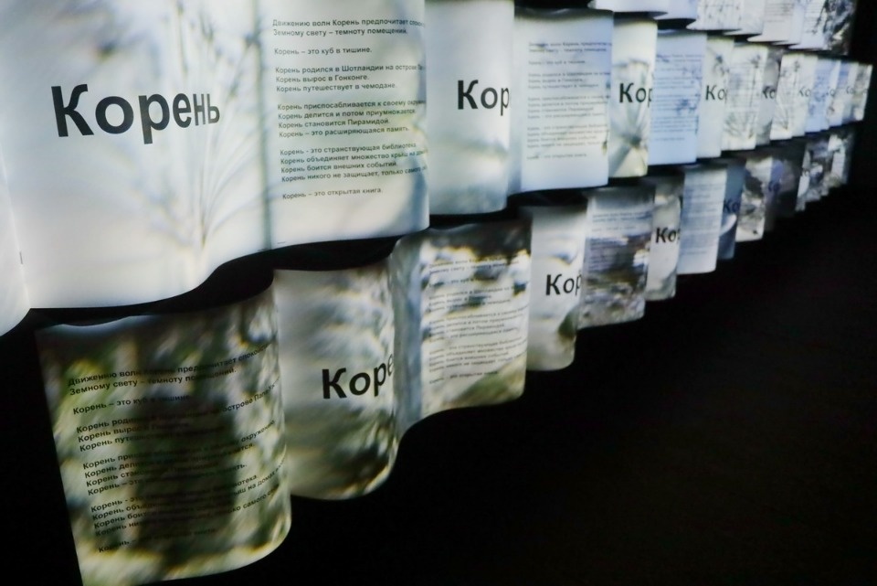 Зри в «Корень»