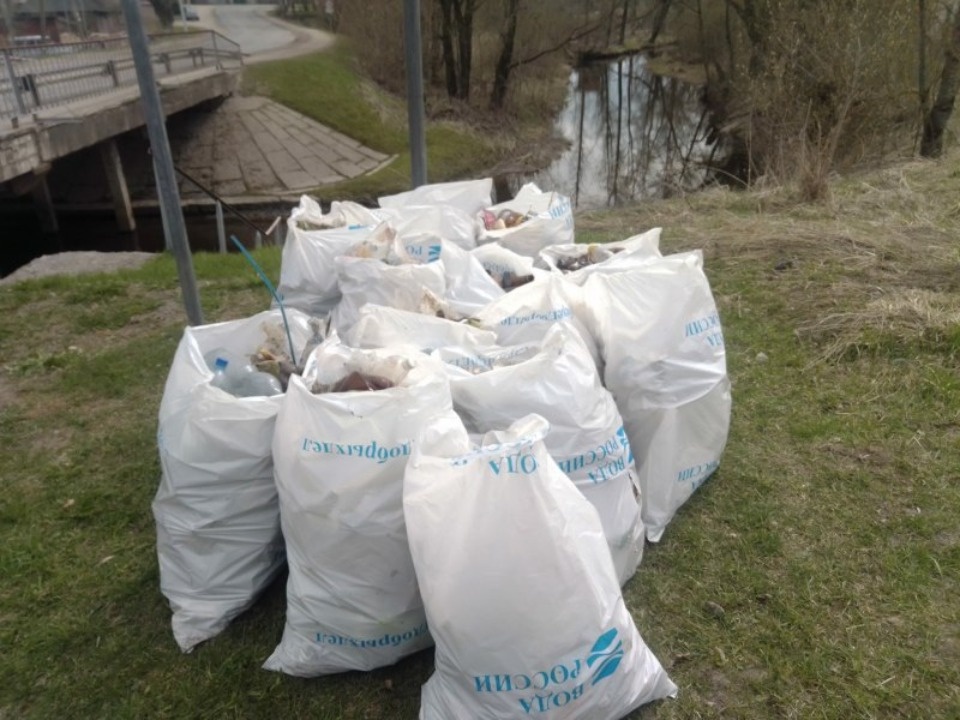 73 км берегов озер и рек убрали в Псковской области в рамках акции «Вода России»