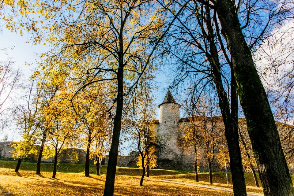 До +9 градусов ожидается в Псковской области 11 ноября