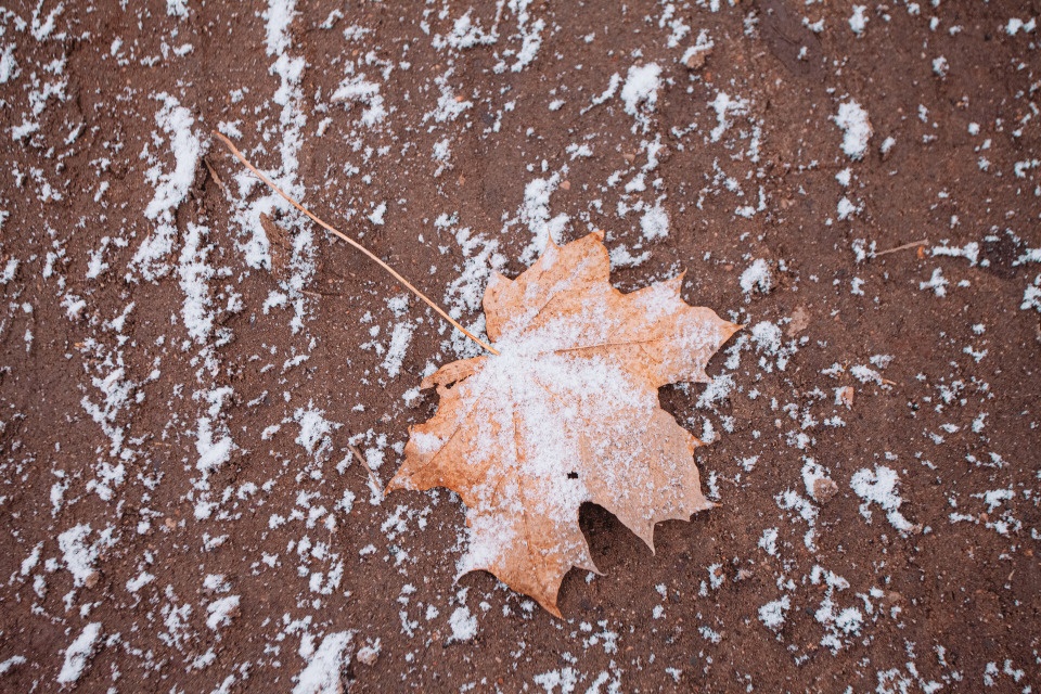 С 15 ноября в Псковской области похолодает до -7 градусов С 15 ноября в Псковской области похолодает до -7 градусов