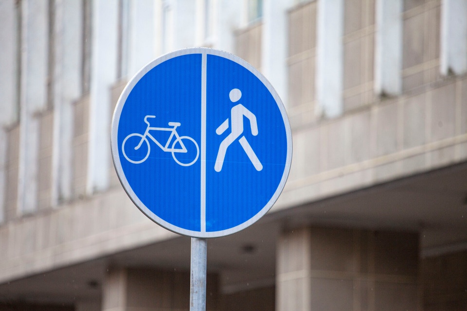 Петербургский институт разрабатывает концепцию развития велодвижения в Пскове 