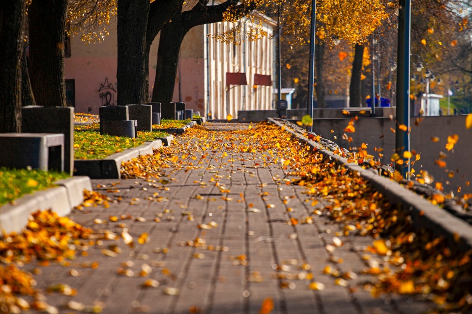 До +6 градусов ожидается в Псковской области 13 ноября