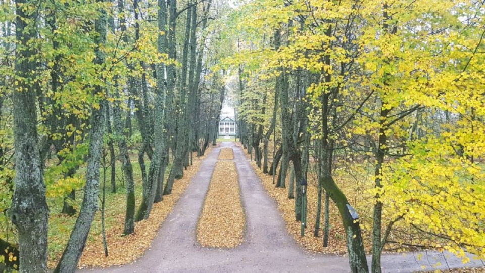 До 30 ноября закрываются все усадьбы музея-заповедника «Михайловское» До 30 ноября закрываются все усадьбы музея-заповедника «Михайловское»