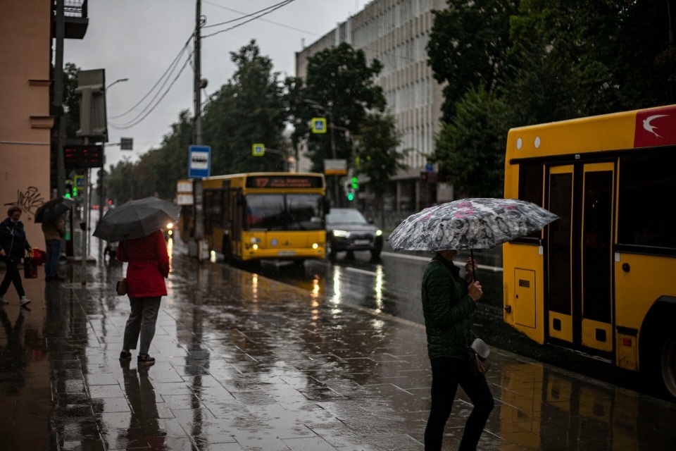 До 6 градусов тепла прогреется воздух в Псковской области 18 ноября